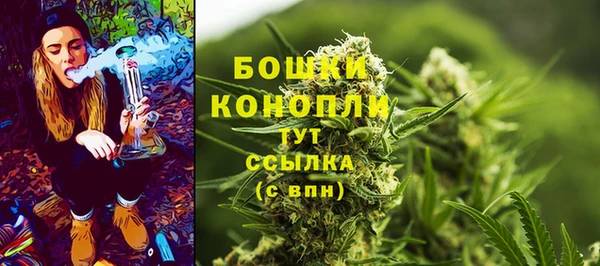 бошки Тавда