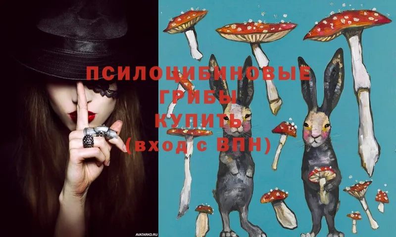 Галлюциногенные грибы Magic Shrooms  Верхняя Пышма 