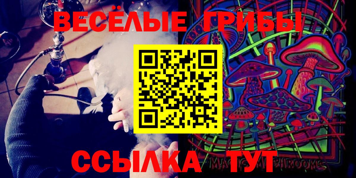 Псилоцибиновые грибы прущие грибы Верхняя Пышма