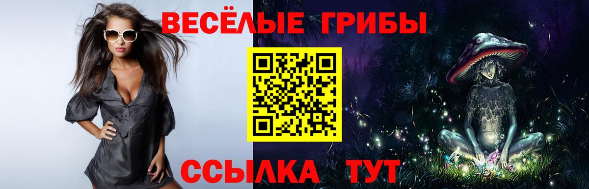 Галлюциногенные грибы мицелий Верхняя Пышма