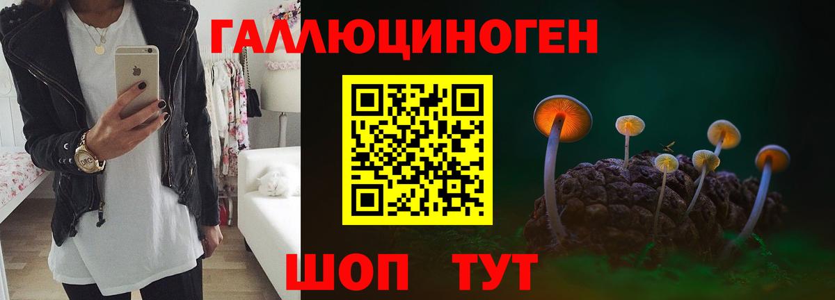 Верхняя Пышма  Галлюциногенные грибы Magic Shrooms  магазин    Вход с VPN 